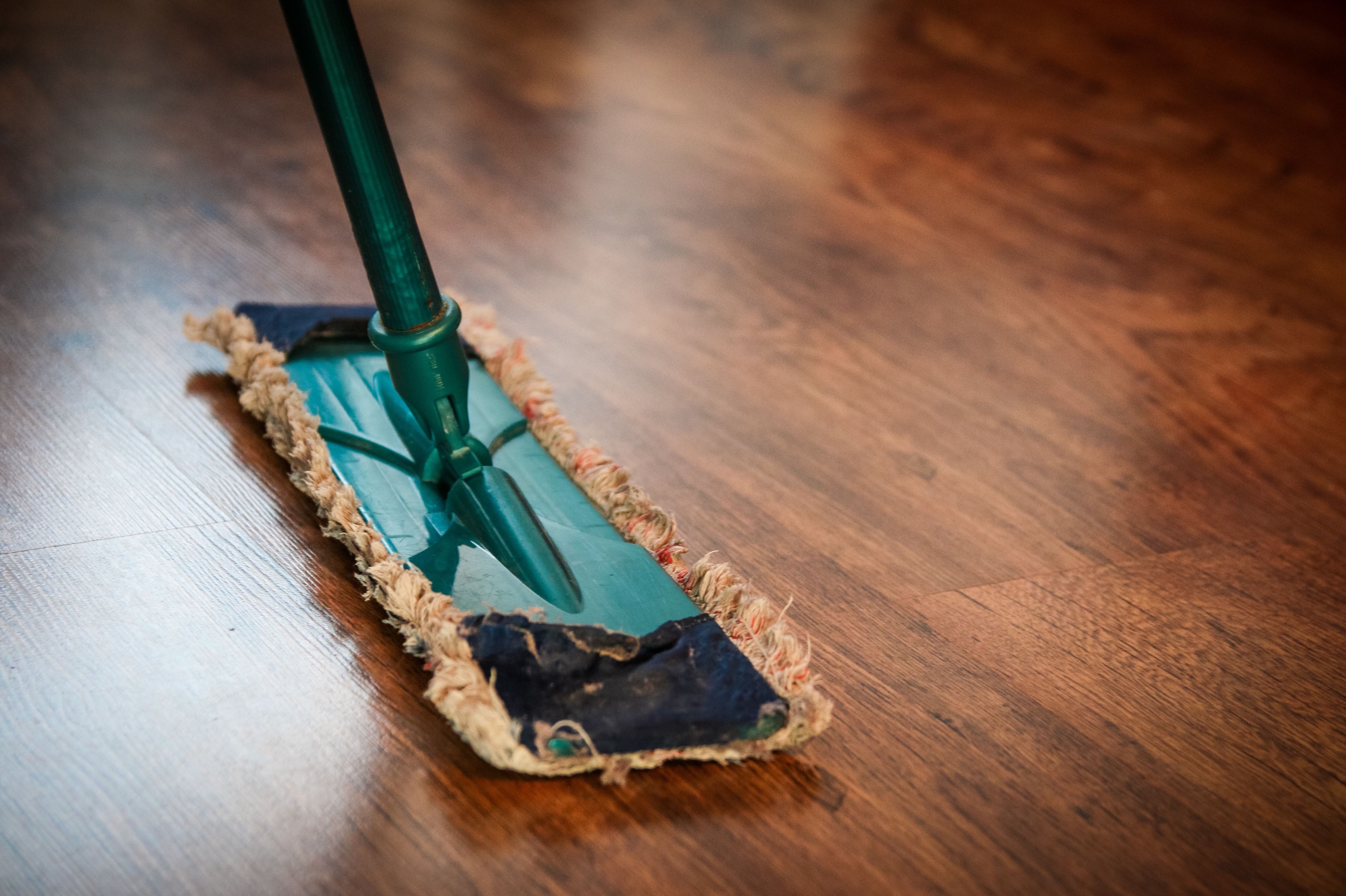 Cleaning Agency Amsterdam Noord-Holland Netherlands