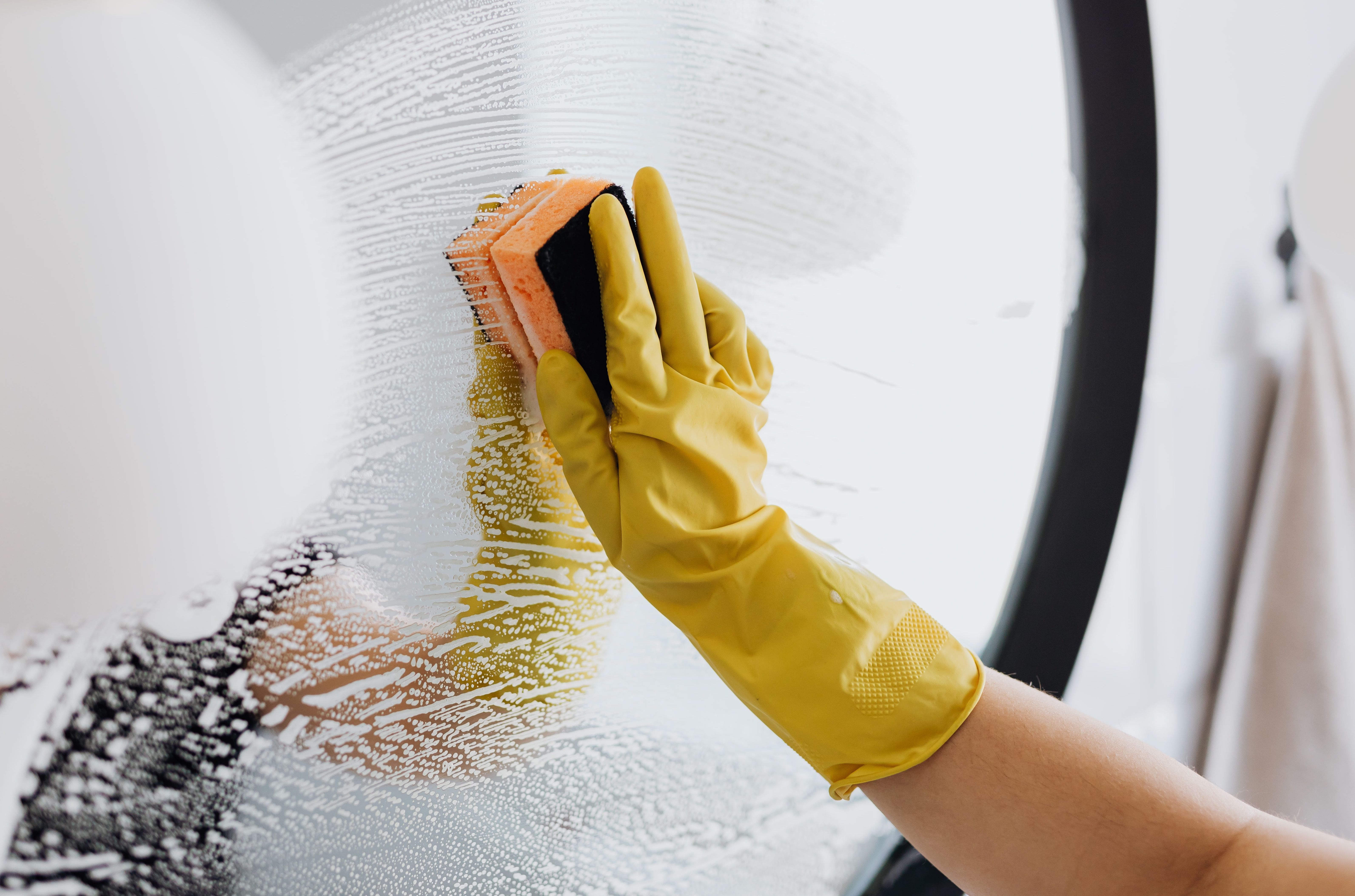 Spring Cleaning Amsterdam Noord-Holland